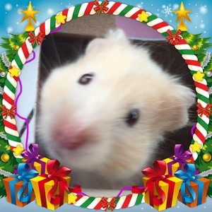 Meet your Posher, Vicky